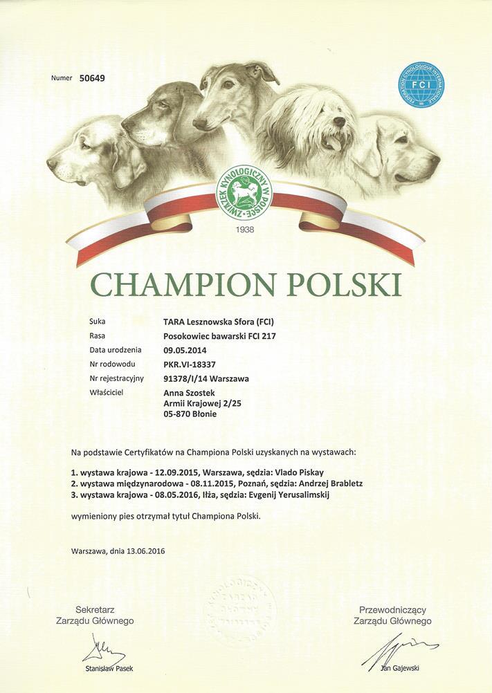 Champion PL